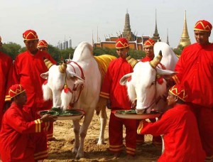 Royal Ploughing Ceremony - 12th May 2017