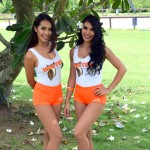 Hooters Ain’t what they Used to be Hooters Ain’t what they Used to be
